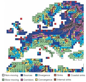 Climate trajectories in Europe: the arrows show the directions in which the climate regions are moving across the continent. The areas marked in purple are climate corridors, where different climate trajectories converge. This means that an especially high number of animal and plant species will migrate to the area. Climate sources are marked in blue: these are regions with a novel climate that does not exist in any of the connecting areas; this means that species will migrate from, but not to this area. The areas marked in green are where the temperatures are changing slowly compared to the other regions. (Image: FAU)