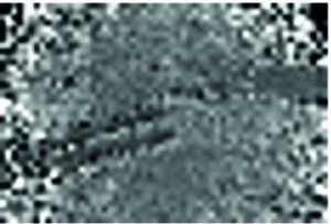 This range image was produced from the colour image of the model liver taken during experimental analysis. (Image: FAU)