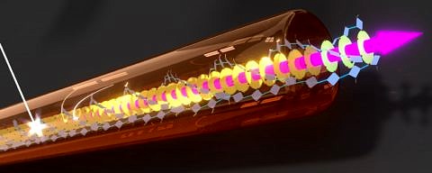 Energy transfer through a supramolecular nanofibre (Image: Andreas T. Haedler/University of Bayreuth)