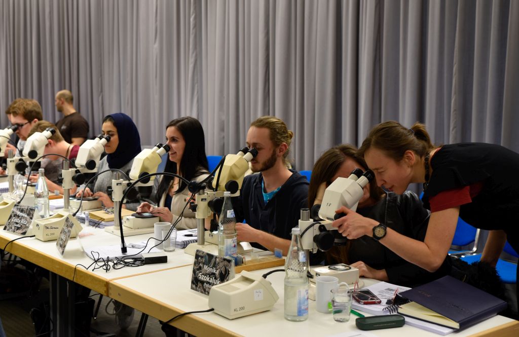 Since 2015, the Flügel Course is offered twice a year du to the high demand. (Image: FAU/Christina Dworak)