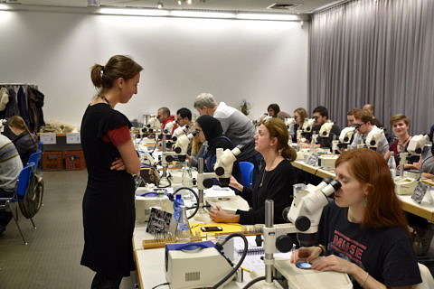 The Flügel Course is special: The participants can bring their own samples to discuss them with the experts. (Image: FAU/Christina Dworak)