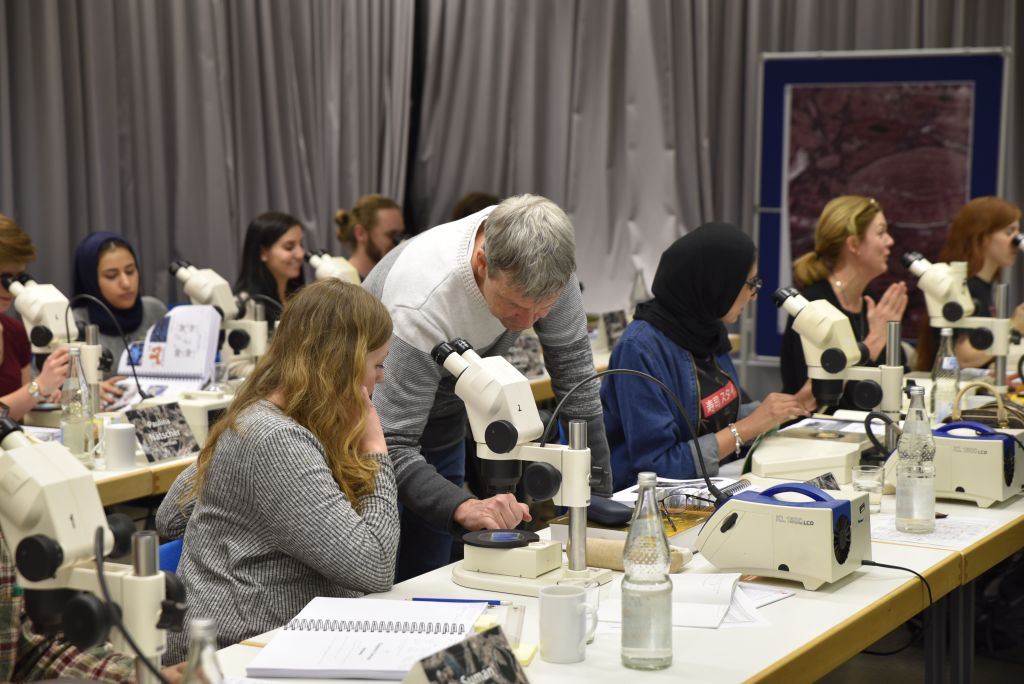 The researchers gladly share their knowledge with the participants. (Image: FAU/Christina Dworak)