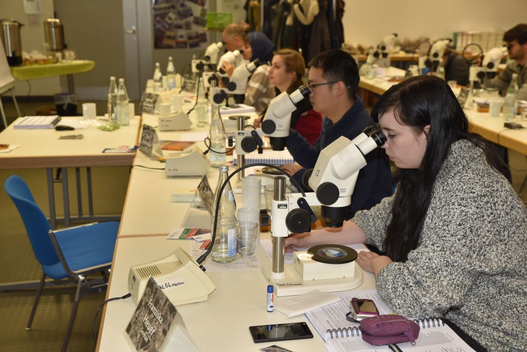 The course is held in high esteem by international researchers. (Image: FAU/Christina Dworak)