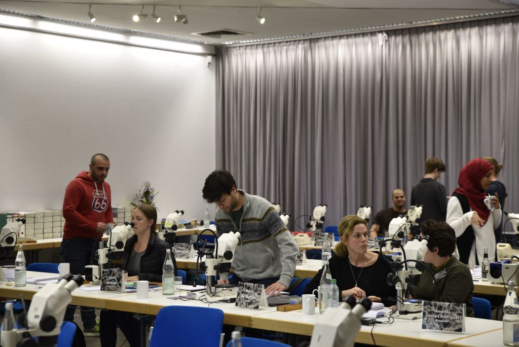 The Flügel Course owes its name to the renowned geologist and palaeontologist Erik Flügel, a pioneer of microfacies analysis. (Image: FAU/Christina Dworak)
