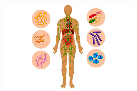 To differentiate friend from foe and to combat attacks by pathogens the immune system needs numerous messenger substances. An international research association is currently investigating these messenger substances and the interactions between them at a molecular level. (Image: Colourbox.de)