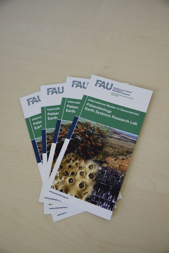 Flyers containing the most important information on the new areas of specialisation were on display. (Image: FAU/Christina Dworak)