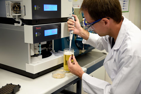researcher preparing a sample of beer