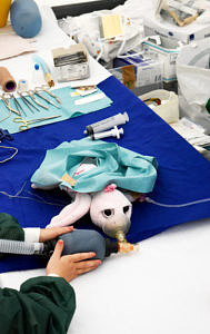 What does a doctor do? Children can find out for themselves with their own cuddly toys