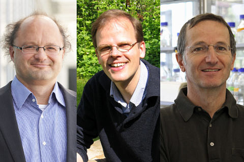 Collage with images of Prof. Dr. Peter Wasserscheid, Prof. Dr. Joachim von Zanthier und Prof. Dr. Thomas Brabletz