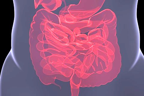 A graphical X-ray image of the human intestine.