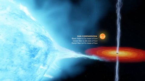 black hole and its companion star