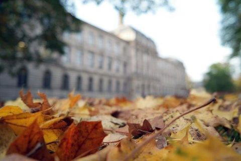 Herbstlaub vor Kollegienhaus im Schlossgarten