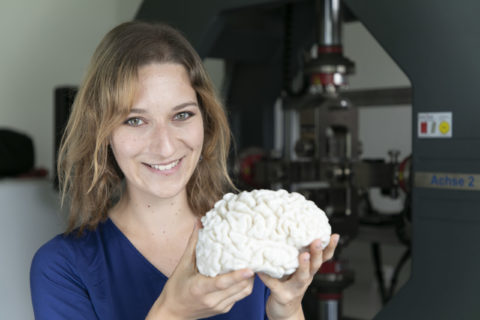 A woman holding a model human brain.