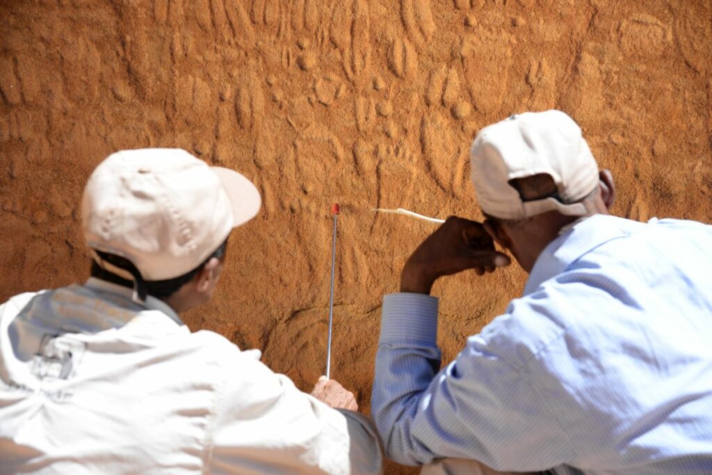 Two men analyse animal tracks and footprints on a stone wall