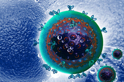 Towards entry "How antibodies offer protection against an infection with HIV"