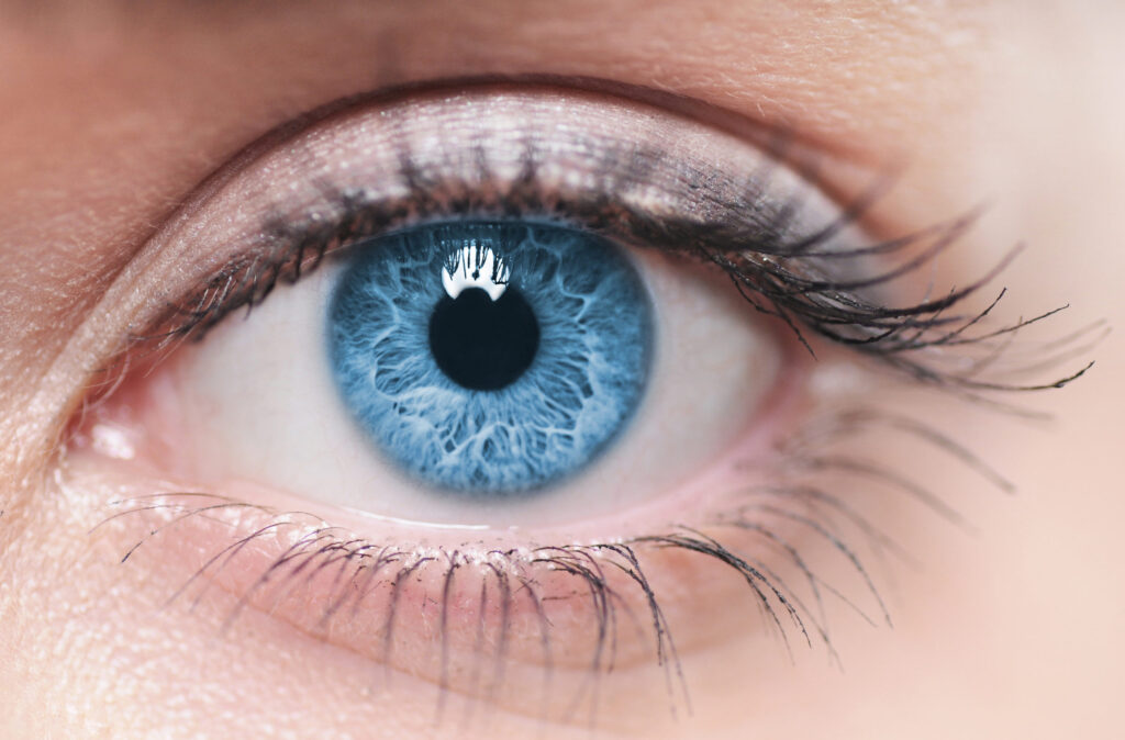 Eye closeup