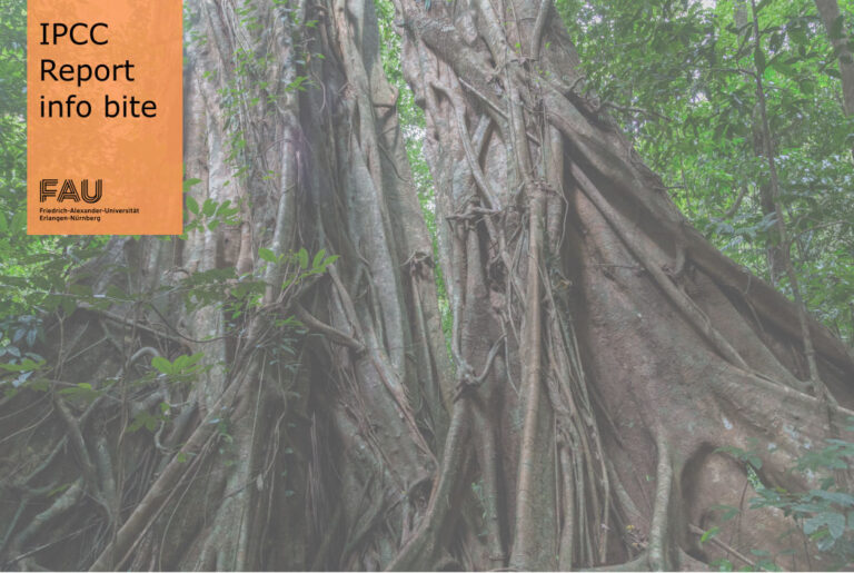 How does nature benefit human health and well-being?