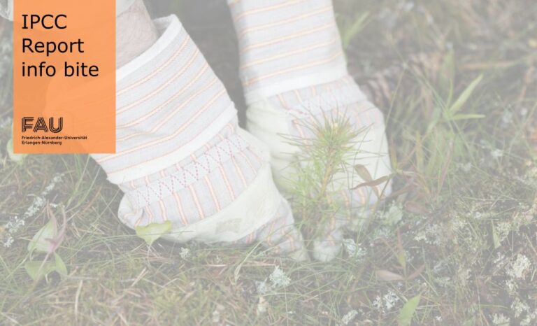 Can planting a tree tackle climate change?