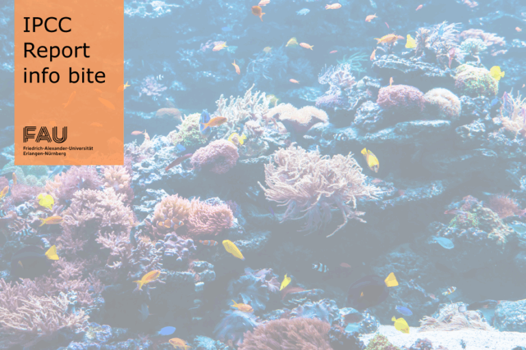 Why are biodiversity hotspots important?