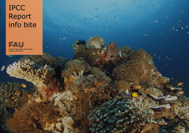 How is climate change affecting the oceans?