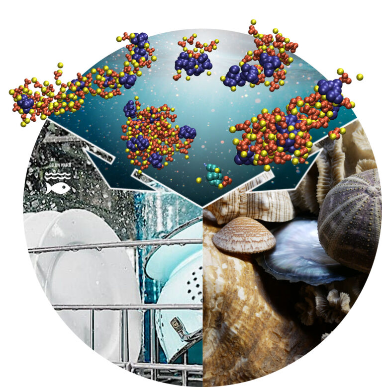 FAU researchers discover a method for preventing limescale