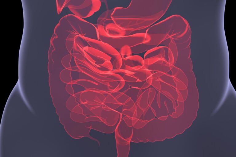 The connection between illnesses of the digestive and nervous systems