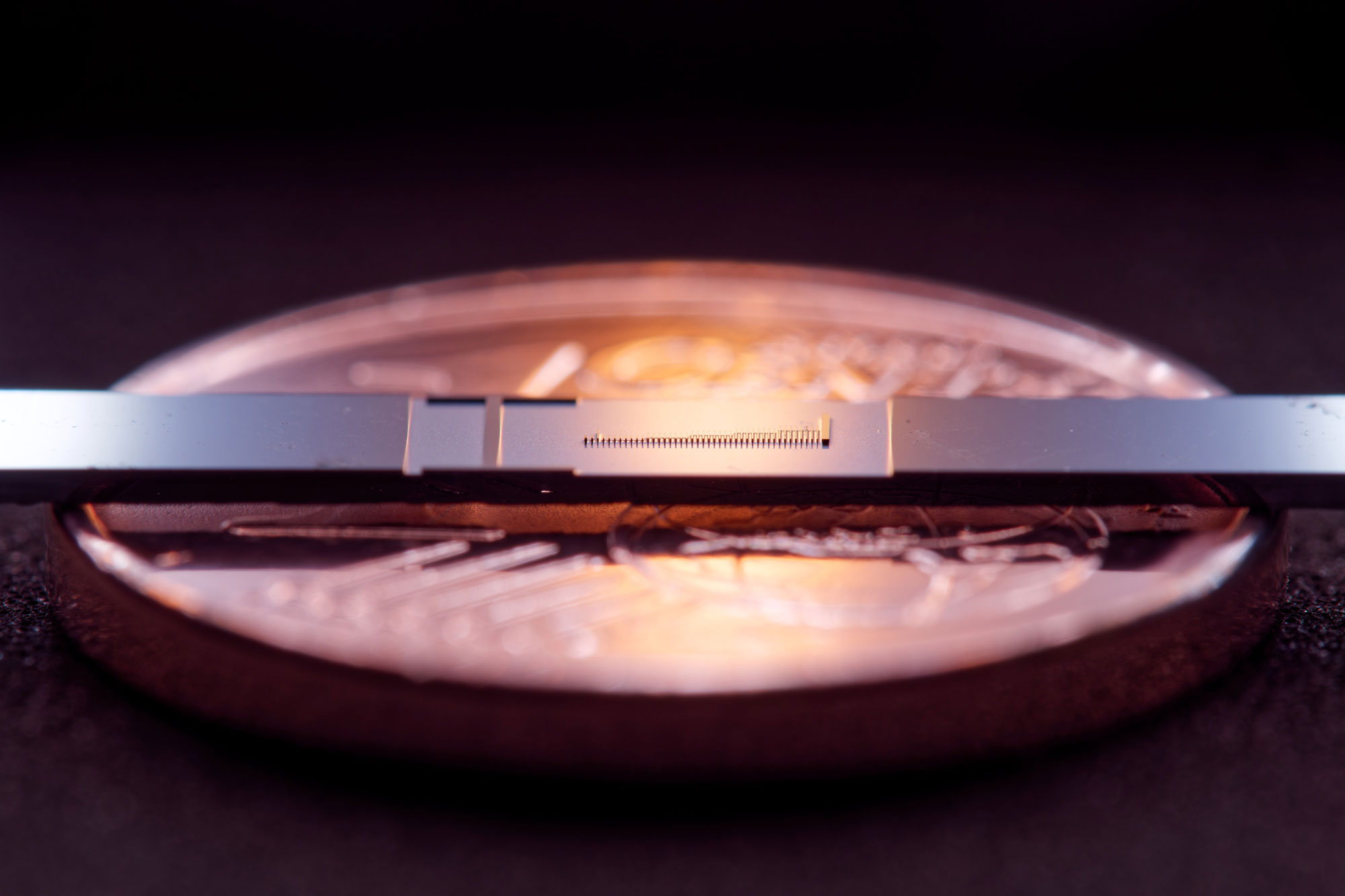 For the first time, FAU researchers have succeeded in measurably accelerating electrons in structures that are only a few nanometers in size. In the picture you can see the microchip with the structures and, in comparison, a 1 cent coin. (Image: FAU/Julian Litzel)