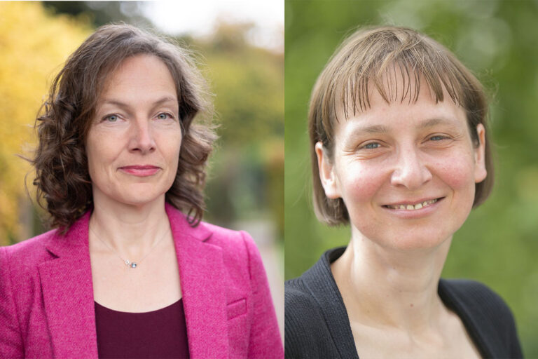 Another two Humboldt Professorships for FAU