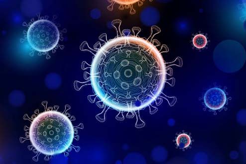 Virus uses same entry pathway into lung cells as earlier Covid-19 variants
