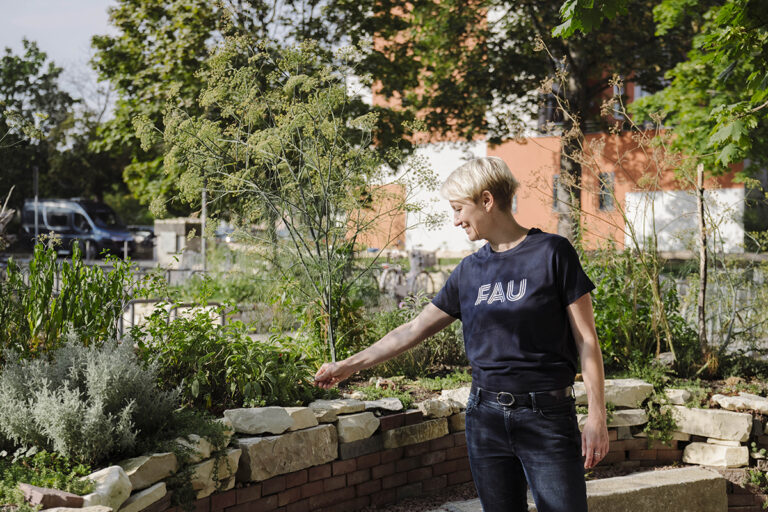 From a stone desert to a blooming oasis