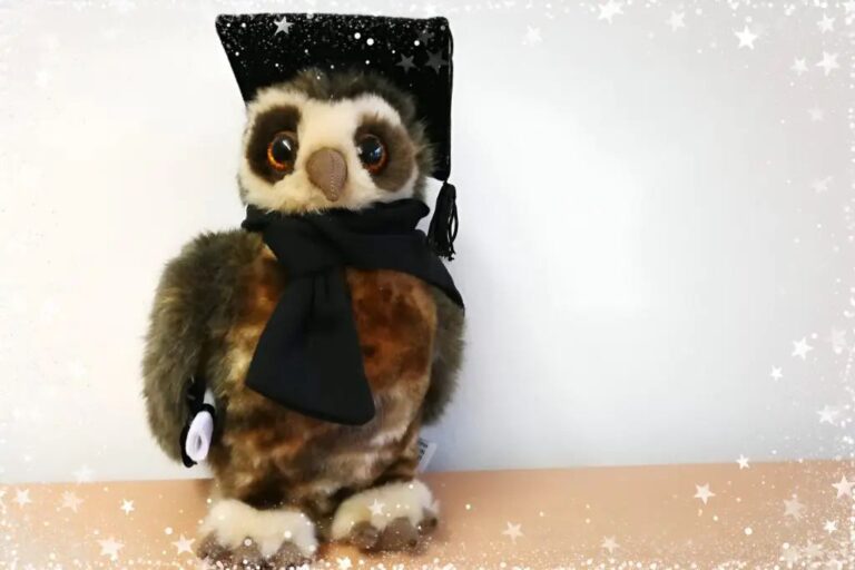 Christmas Raffle for the FAU Community