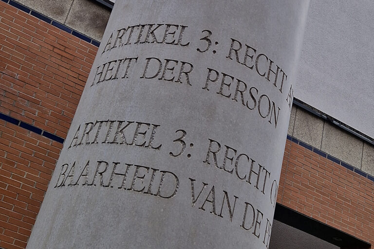 International Human Rights Day: Our rights, our future, right now!