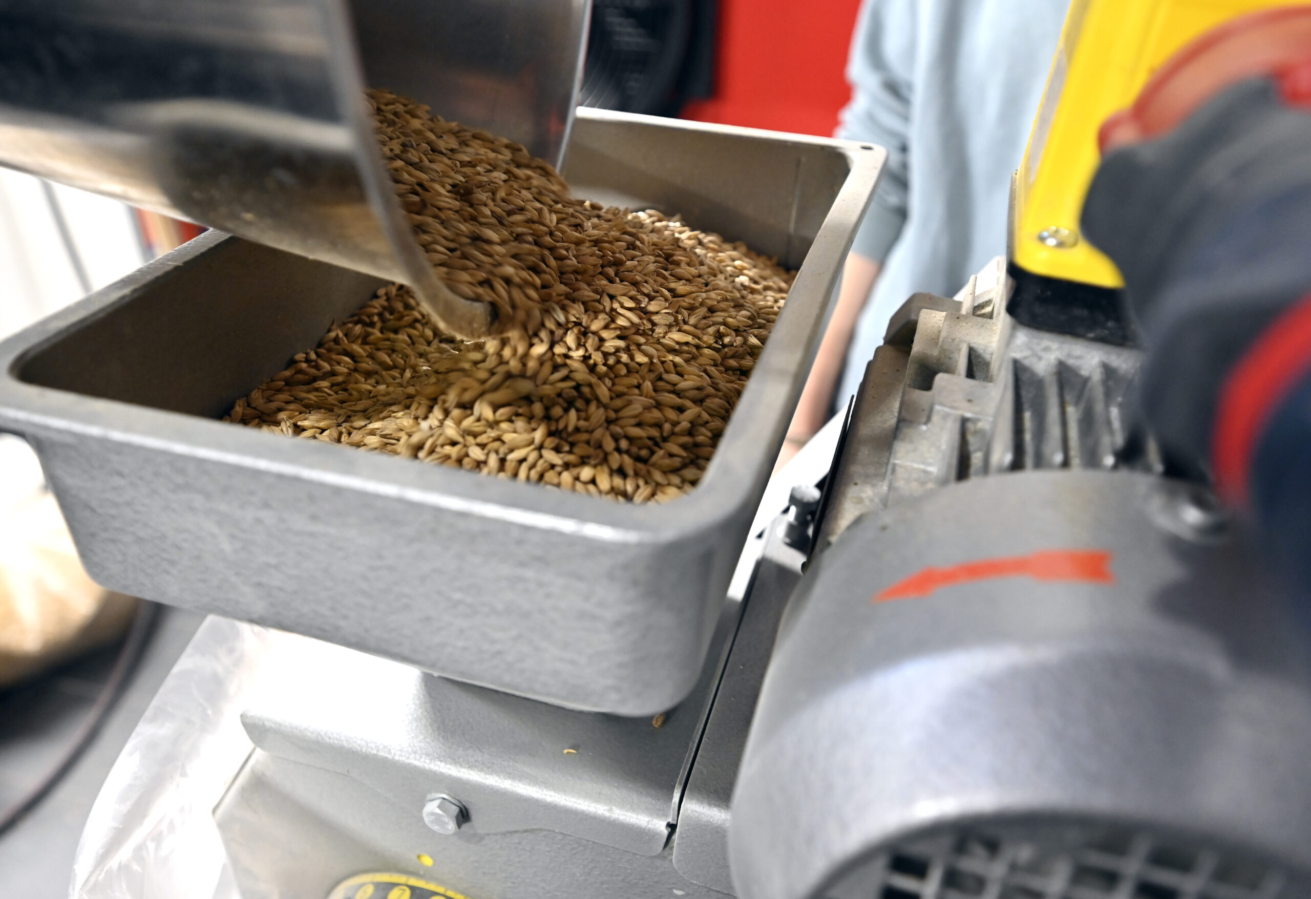 Malt is poured into a bowl.