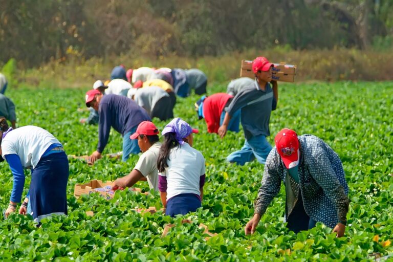 Pay gap: Immigrants experience difficulties in accessing better-paid jobs