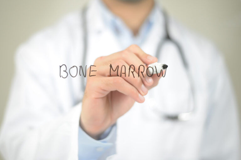 Bone marrow transplants: researchers decipher “don’t eat me” mechanism