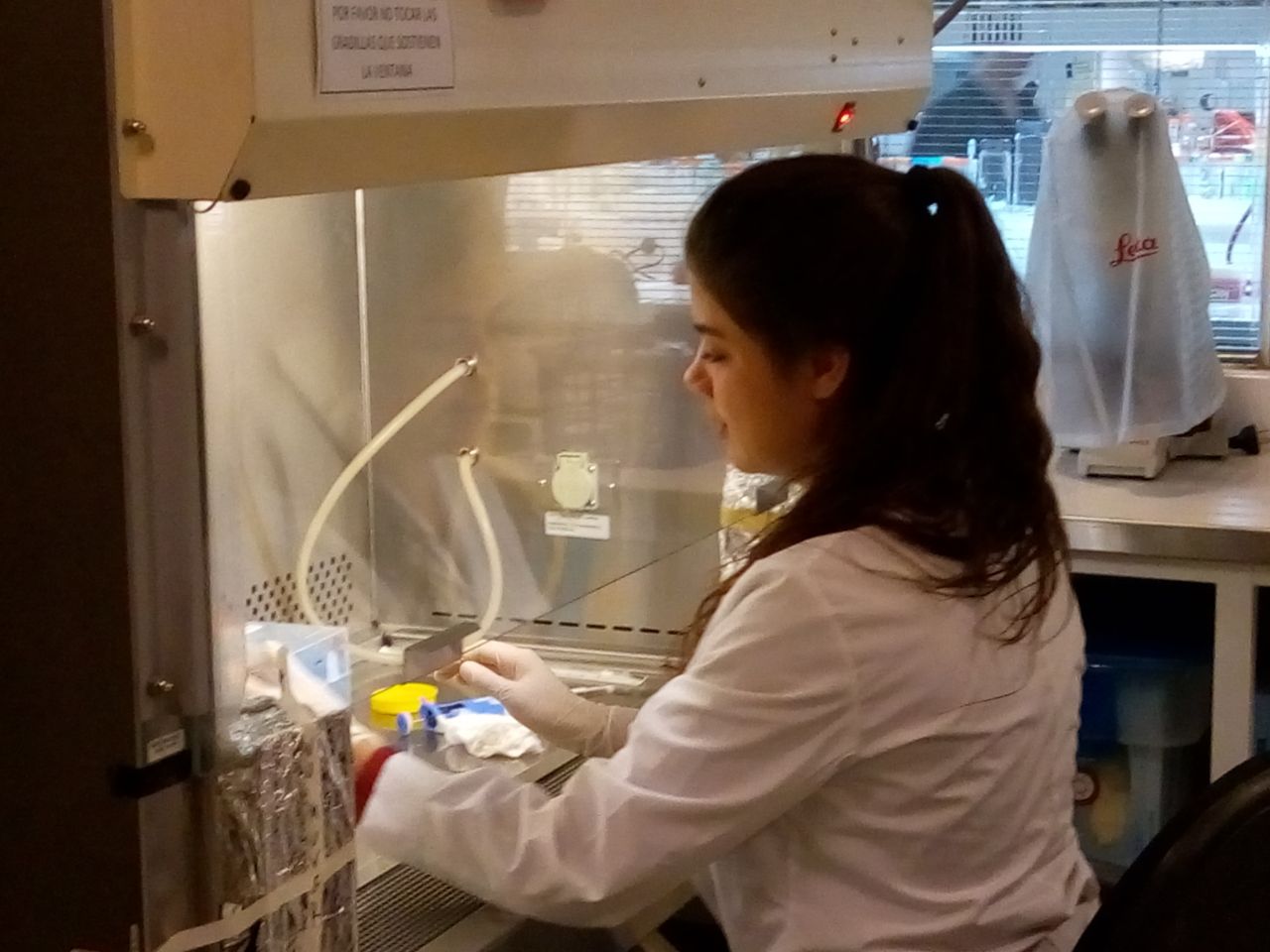 Victoria Guglielmotti working in lab