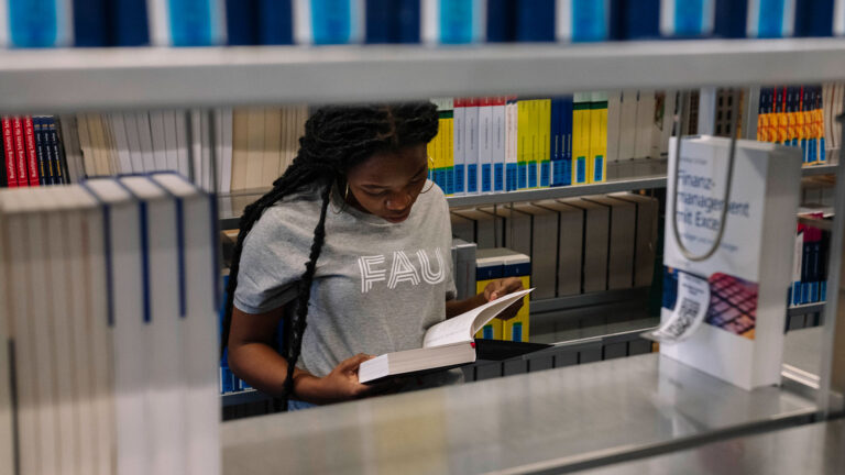 FAU Strategic Framework