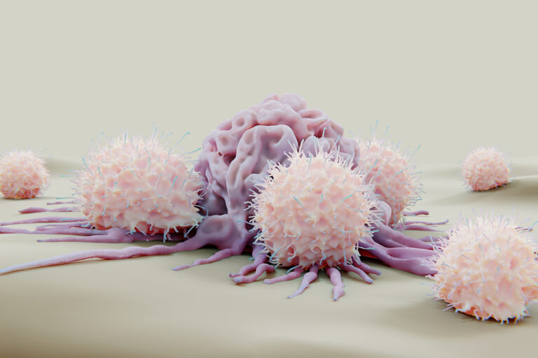 Killer cells How the immune system selects its defense troops