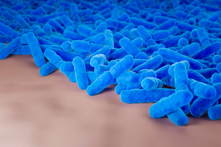 New research project: How bacteria stick together