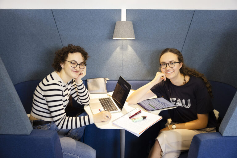 CHE Master’s ranking: Good results for FAU