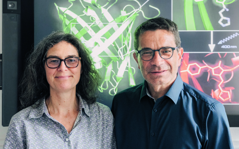 High-speed Helma and Turbo Alex