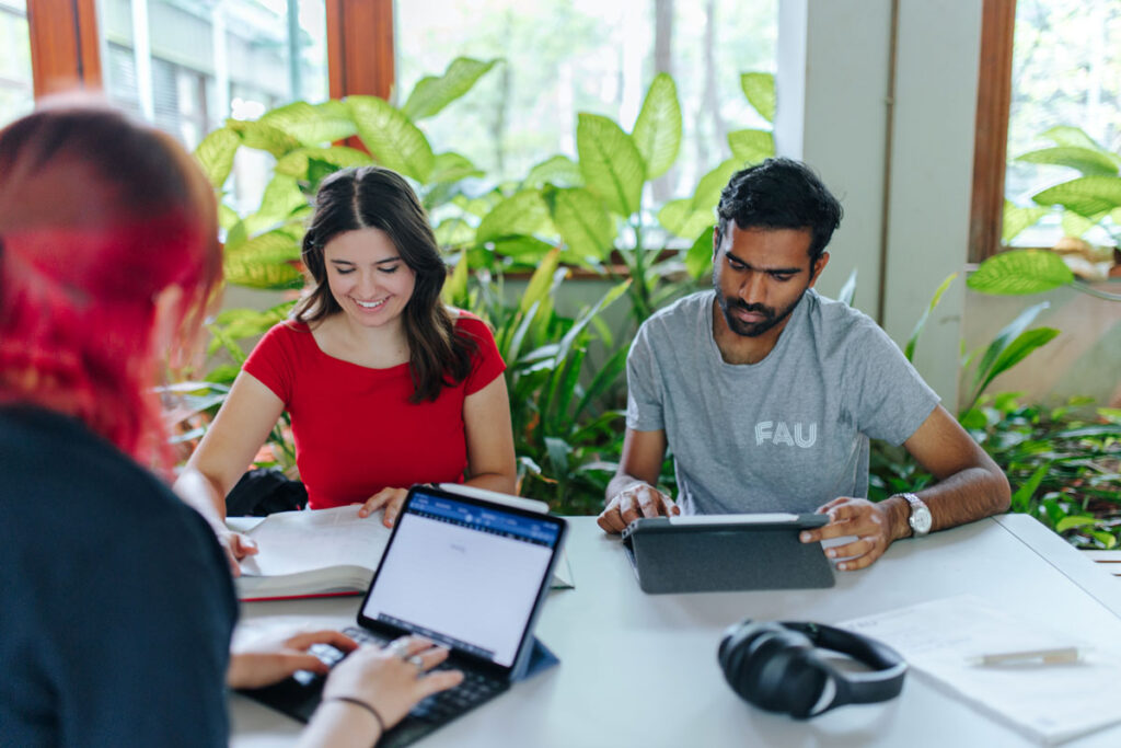 Fees for applications from non-EU states