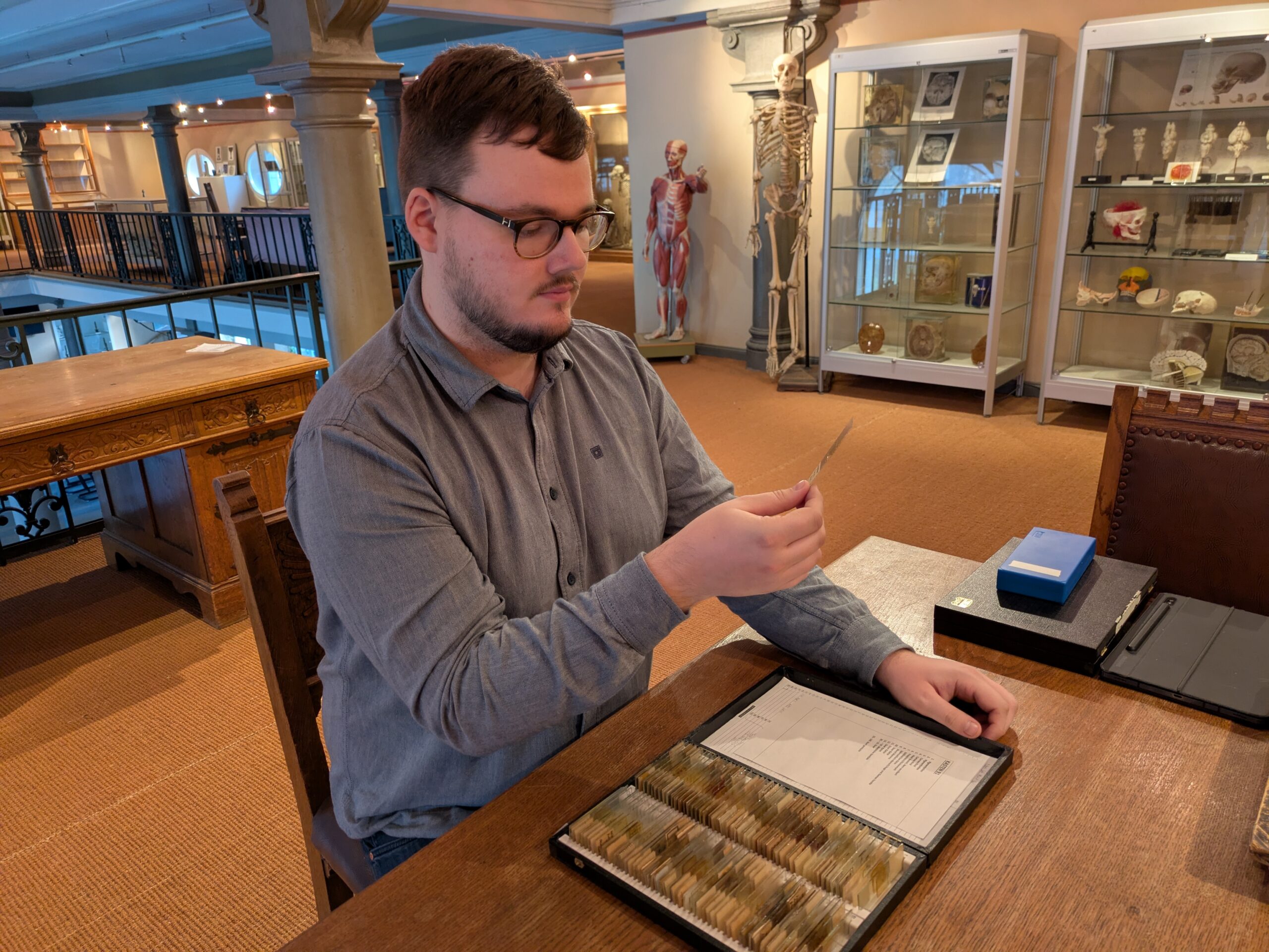 Anatomical specimens from the Nazi era: FAU Doctoral candidate Tim Goldmann investigates chance discovery