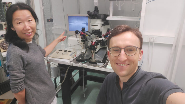 Extremely deep-frozen region of brain can process electrical learning stimuli again after thawing