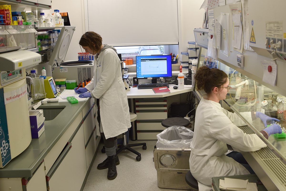 2 Frauen arbeiten im Labor von SEON an der FAU