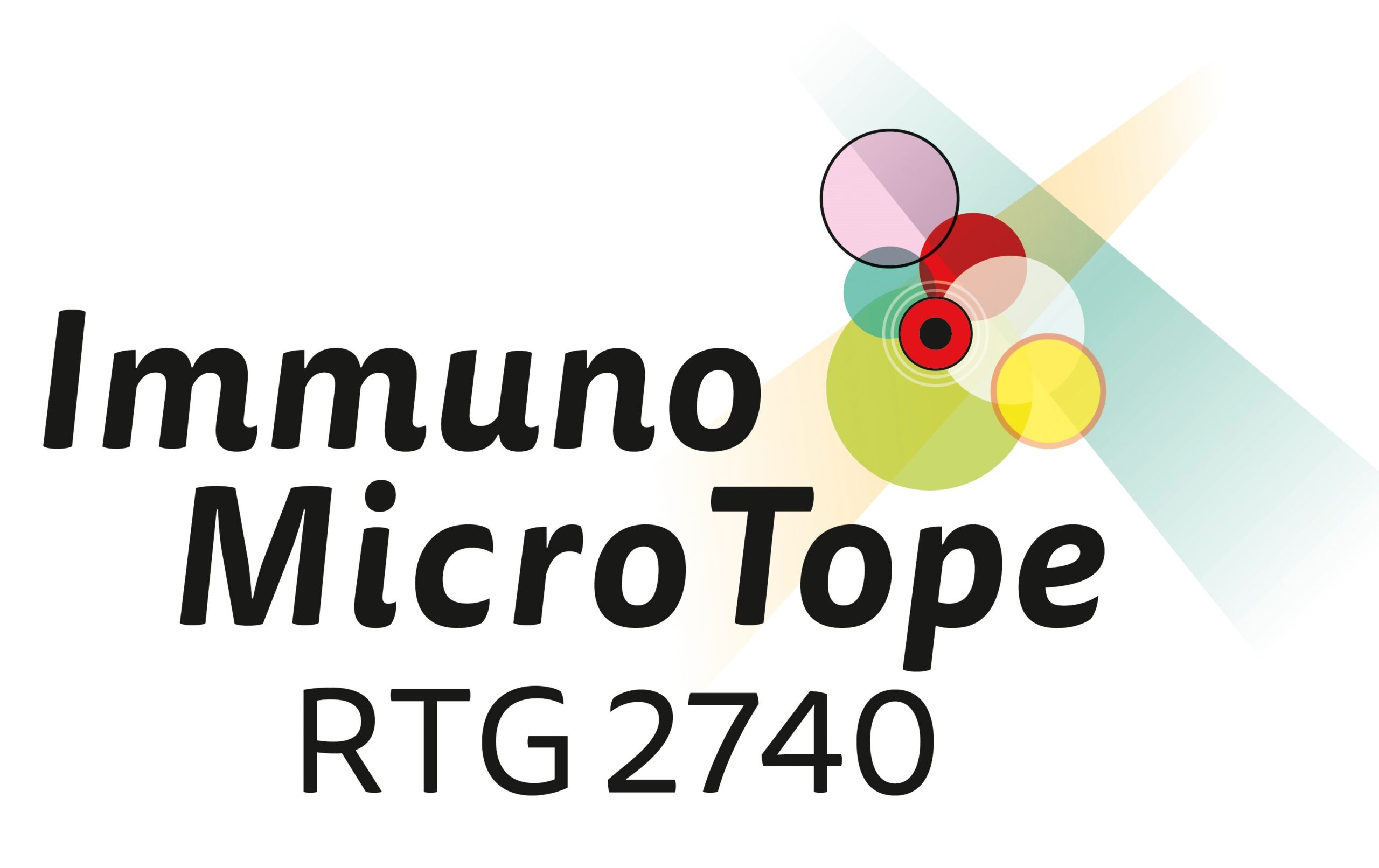 Logo ImmunoMicroTope