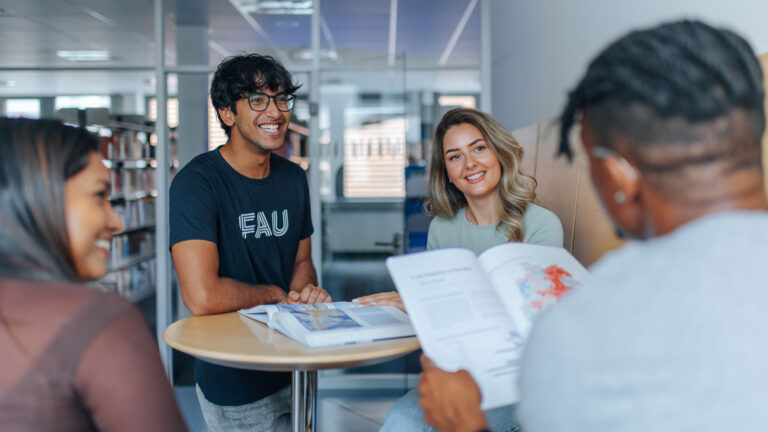 Funding for internships and research projects (final theses)