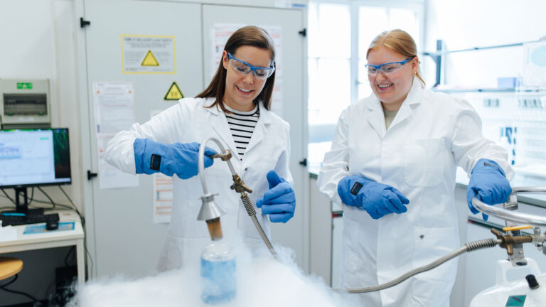 Featured image for FAU head of junior research group (FAUngl)