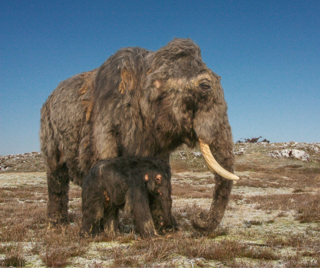 Mammutkuh mit ihrem Kalb in kaltzeitlicher A female mammoth with her calf in a glacial landscape during the peak of the last Ice Age.