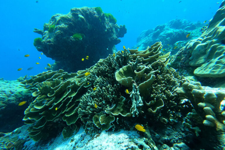 Climate change is reshaping the rules of survival